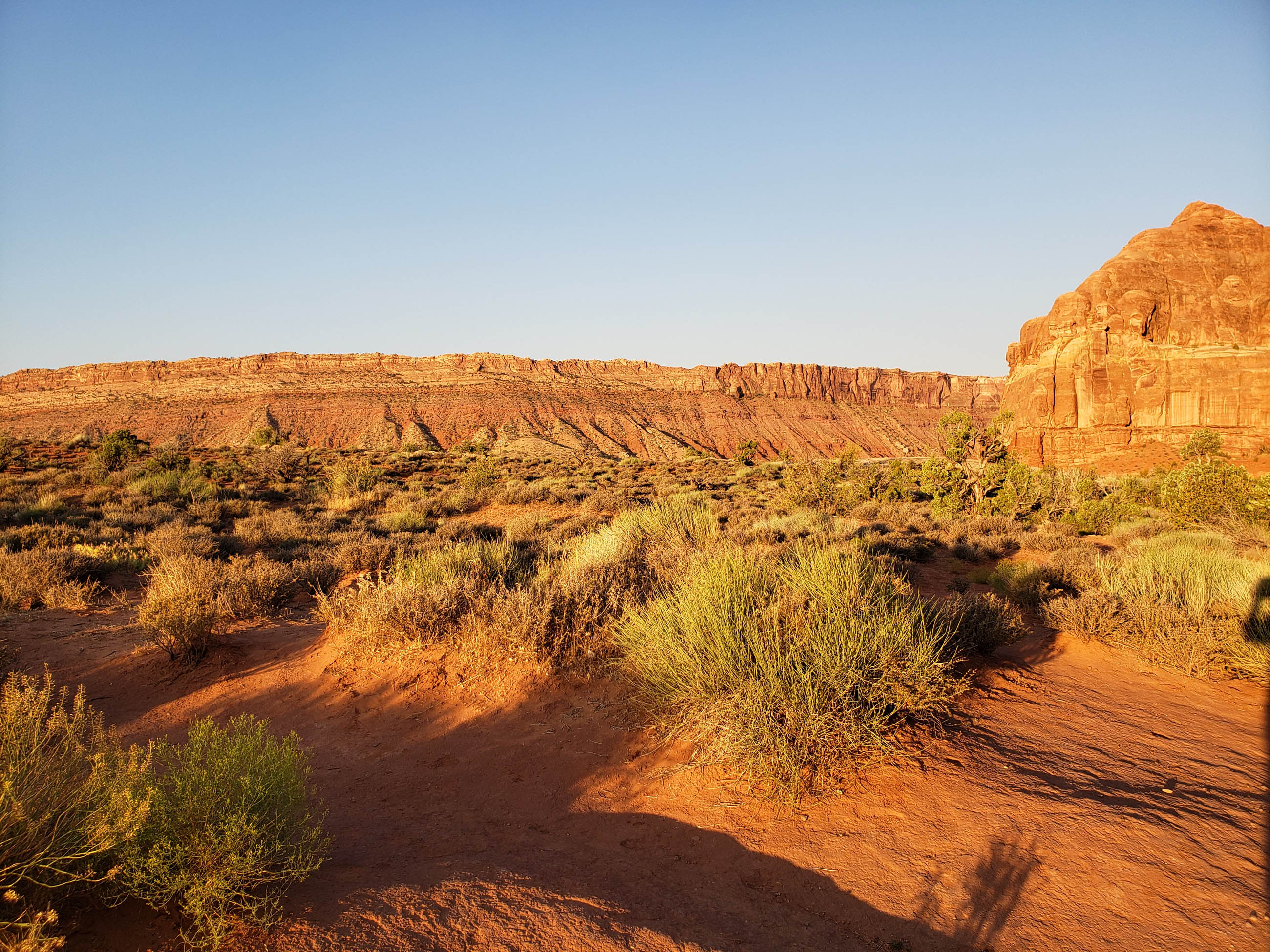desert view of Arches National Park