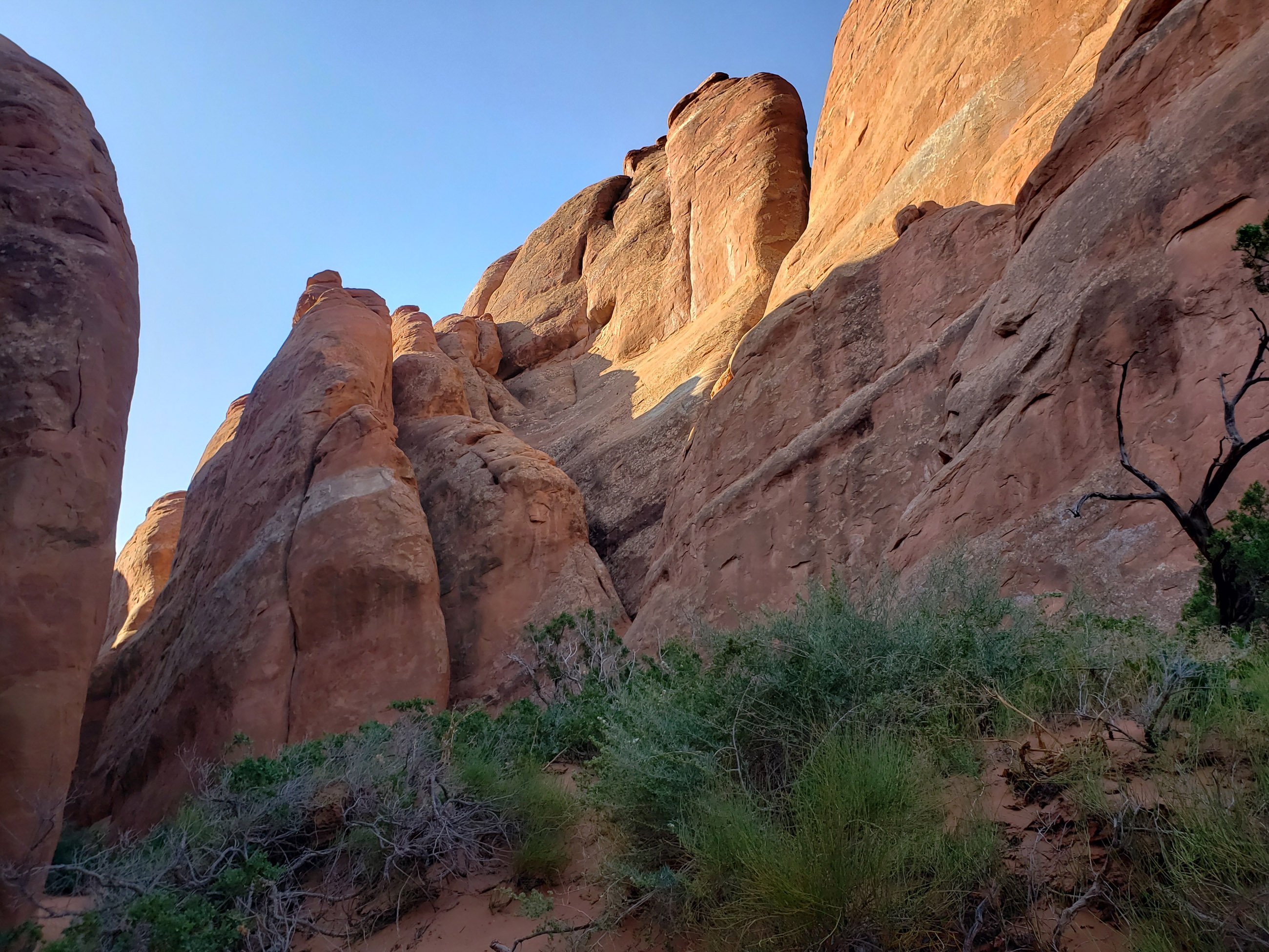 Devil's Gargen formation at Arches National Park