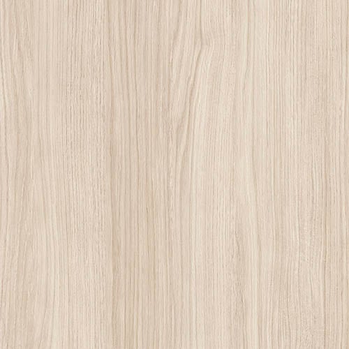 White Oak wood closeup